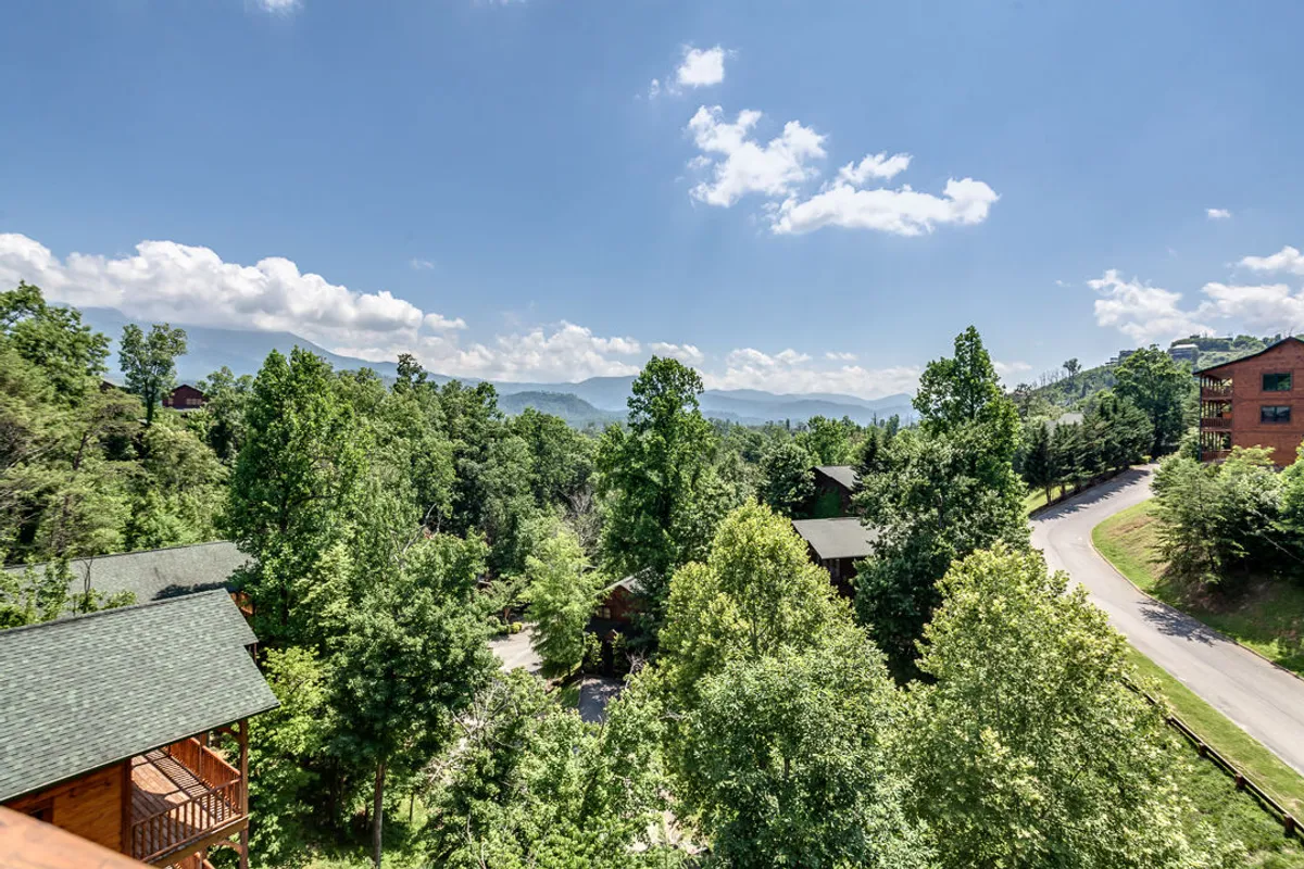 A panoramic view of lush green trees with a stunning mountain range in the background and a gentle curving road. The scene conveys the natural beauty and tranquility of the area, inviting guests to admire sunrise or sunset and spot local wildlife from the comfort of the resort.
